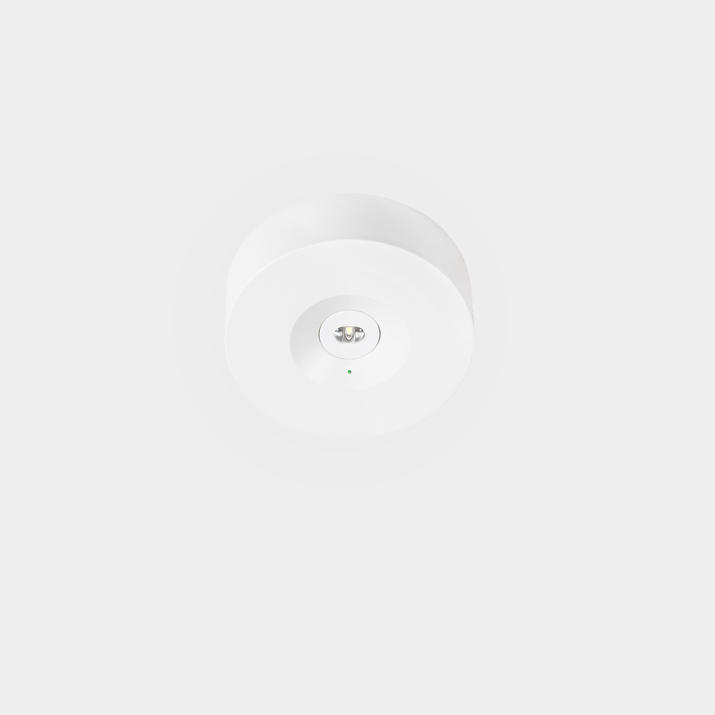 REDO emergency lighting, surface IP20 DALI White, 200lm-3h /Permanent+Self-testing