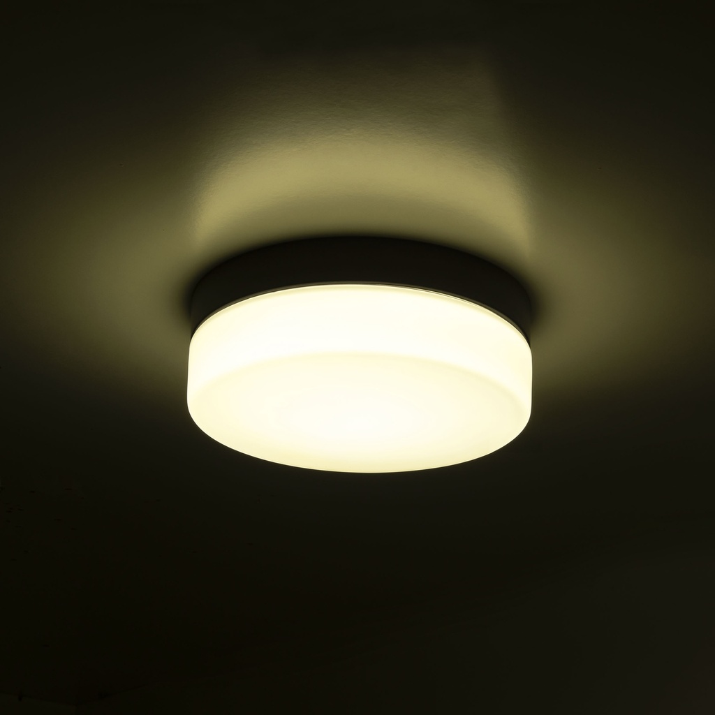 Ceiling fixture IP44 GIRO LED 10.8W SW 3000-4000K Black 327lm