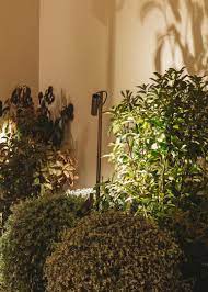 Bollard IP65 Juncus LED 6.4W 3000K Brown 418lm