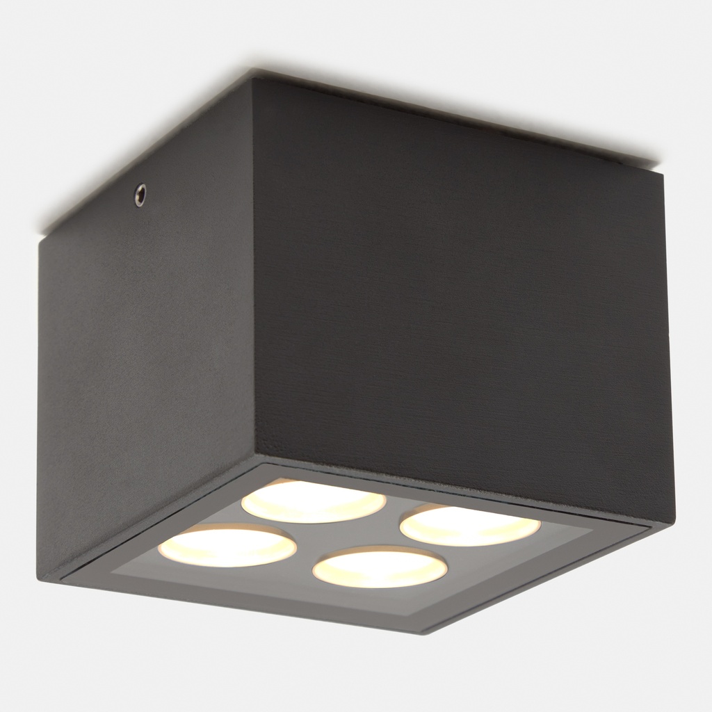 Ceiling fixture IP65 Crest 6.6W LED warm-white 3000K ON-OFF Black 611lm