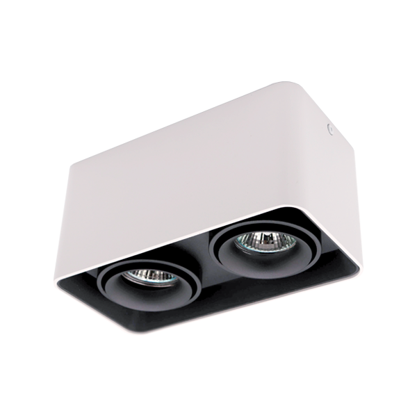 [92DL044S2/BLWH] DL-044 SQUARE DOUBLE DOWNLIGHT SURFACE MOUNTED BLACK/WHITE