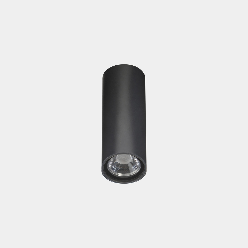 Ceiling fixture IP66 Max Big LED 20 LED neutral-white 4000K DALI-2 Urban grey 2047lm