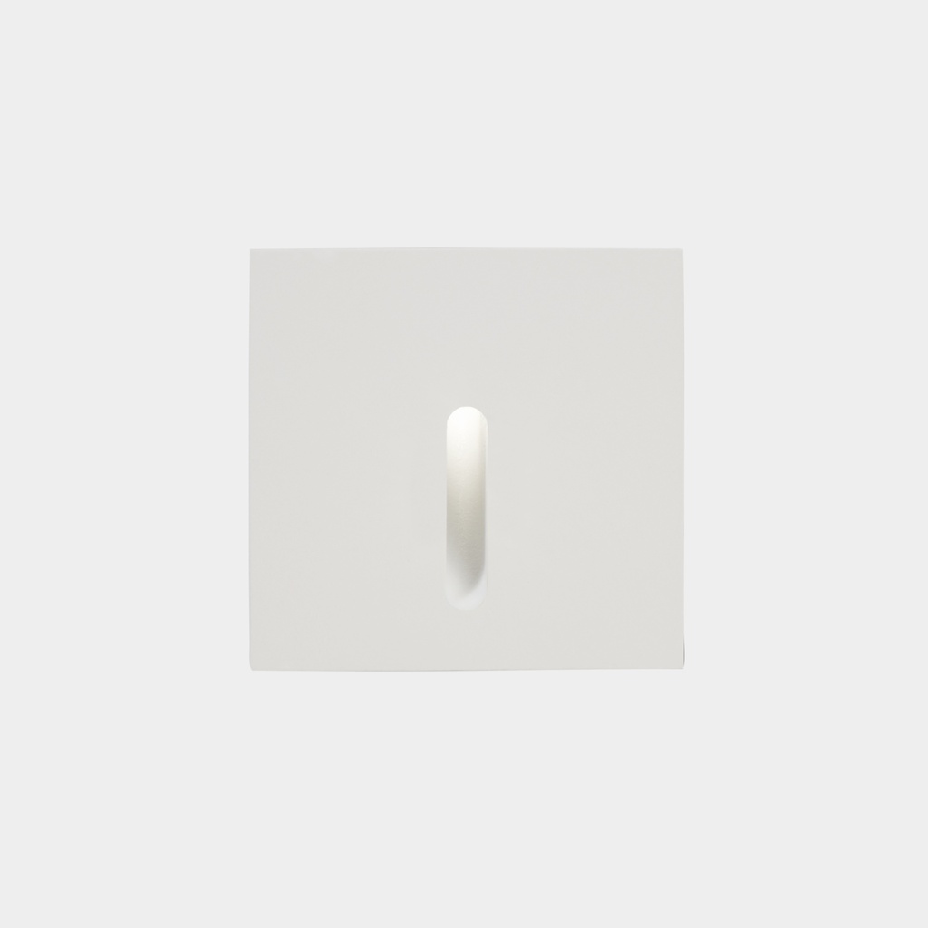 Recessed wall lighting IP66 Bat Square Lineal LED 2W 3000K White 10lm