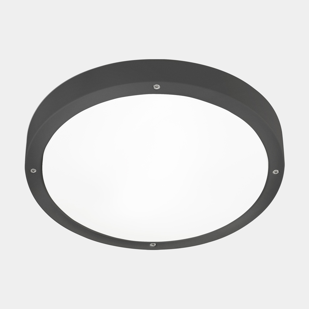 Ceiling fixture IP66 BASIC LED 21.4W SW 2700-3200-4000K ON-OFF Urban grey 2606lm