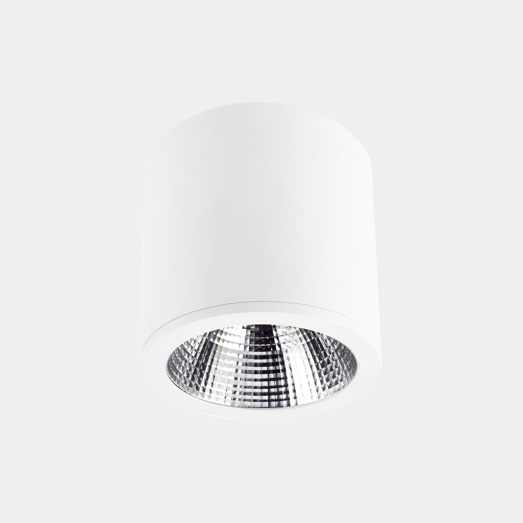 [90-3209-14-DU] Ceiling fixture Exit 25.9W LED neutral-white 4000K CRI 80 DALI-2/PUSH White IP23 2284lm