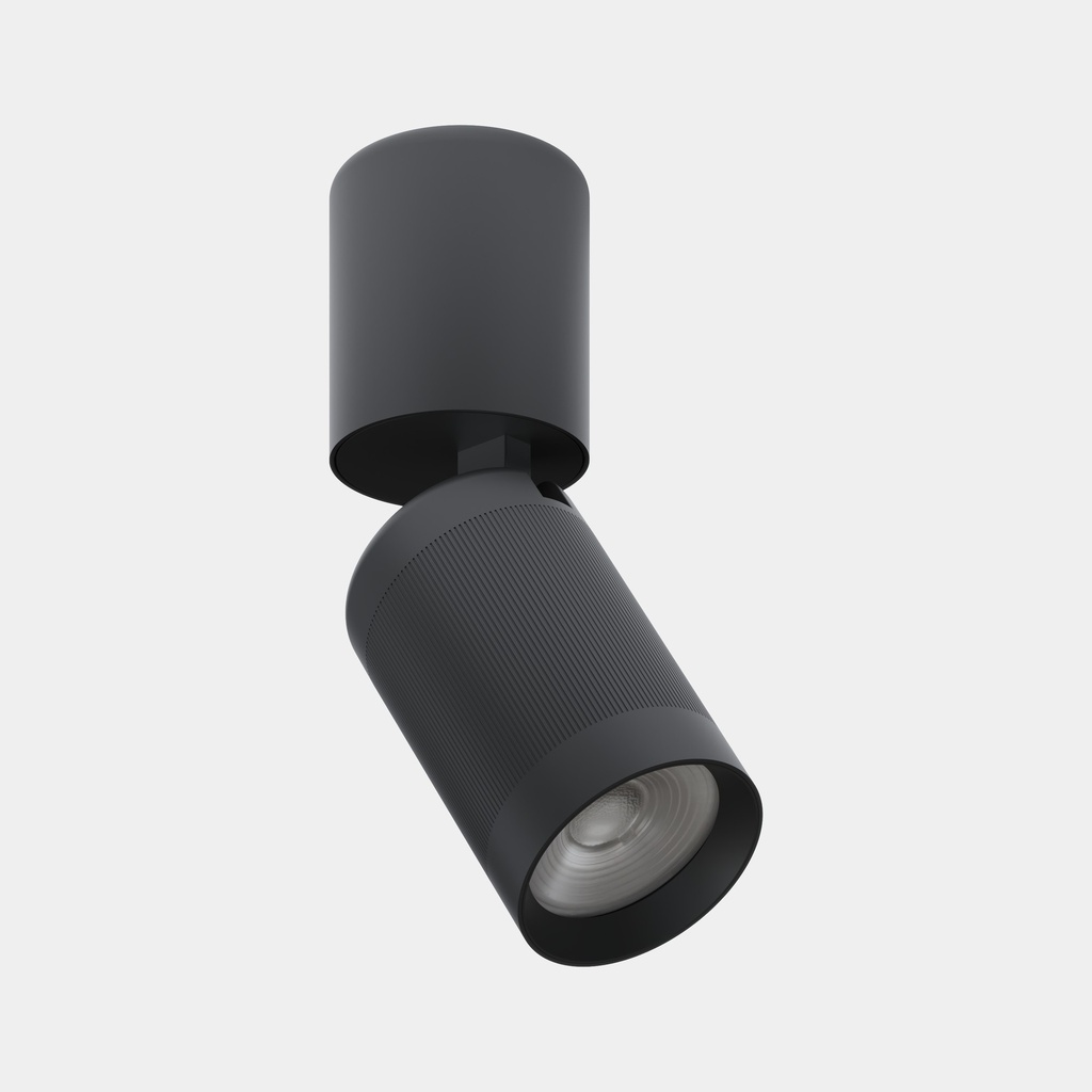Ceiling fixture Iris Surface Hoop 15º 12.9W LED warm-white 2700K CRI 90 DALI-2 Black IP23 1183lm
