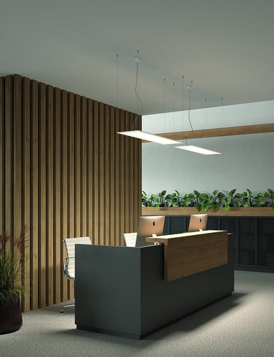 [AP13-35X8MPOS14] Downlight Ecofit Plus 119,5 x 29,5 31.2W LED neutral-white 4000K CRI 80 98.3º ON-OFF White IP40 3851lm