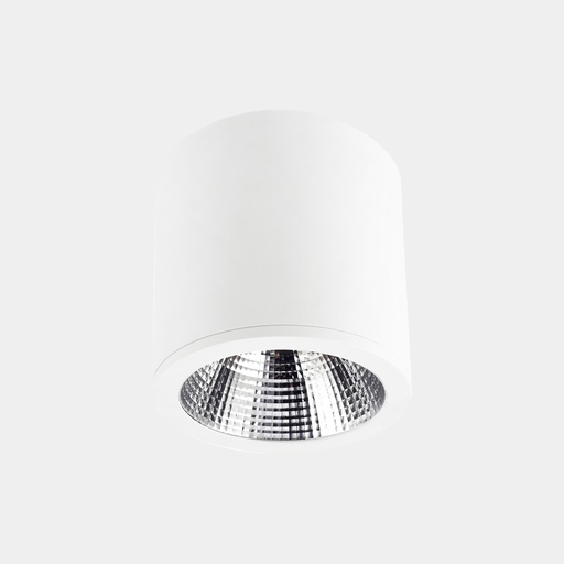 [90-3211-14-OU] Ceiling fixture Exit 29.6W LED neutral-white 4000K CRI 80 ON-OFF White IP23 2646lm